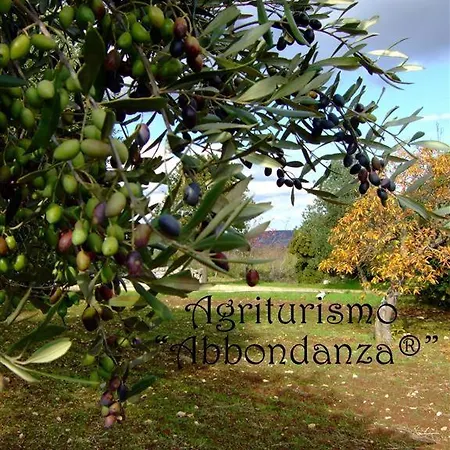 Abbondanza
