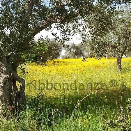Hotel Abbondanza *